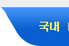 국내