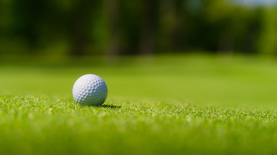 소노펠리체CC 비발디파크 파크골프